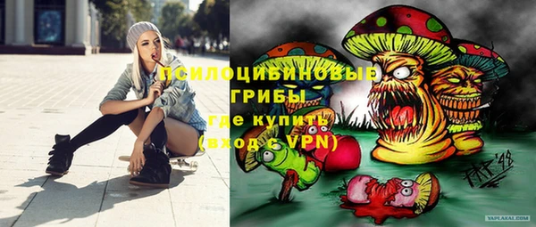 apvp Михайловск