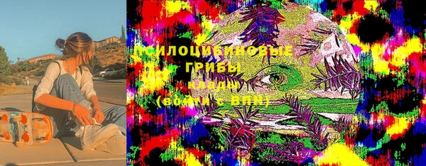 стафф Михайловка