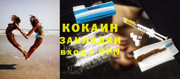 прущие грибы Медвежьегорск