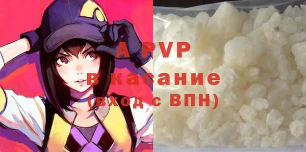 прущие грибы Медвежьегорск