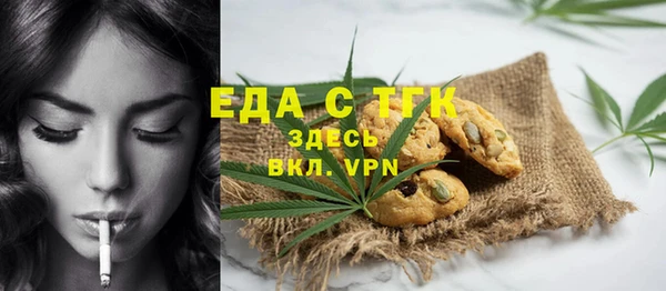гашик Кедровый