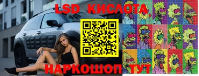 бошки Можга