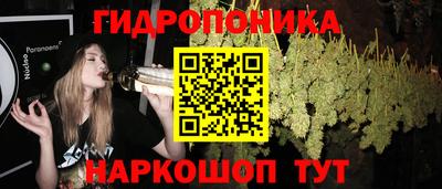 ECSTASY Берёзовский