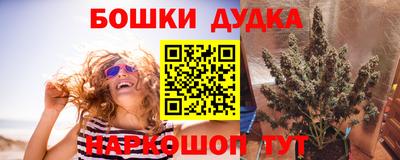 кокс Моздок
