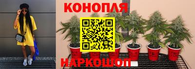 бошки Можга