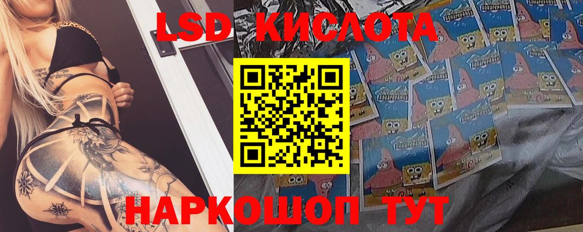 Лсд 25 экстази ecstasy  MEGA ONION  Новозыбков  Вход с VPN  Лсд 25 экстази ecstasy 