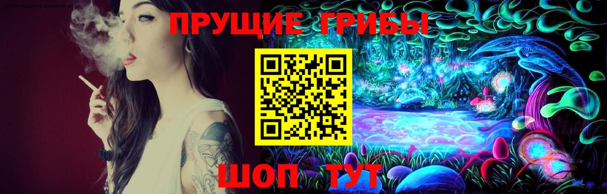 Псилоцибиновые грибы прущие грибы  Псилоцибиновые грибы GOLDEN TEACHER  Новозыбков 